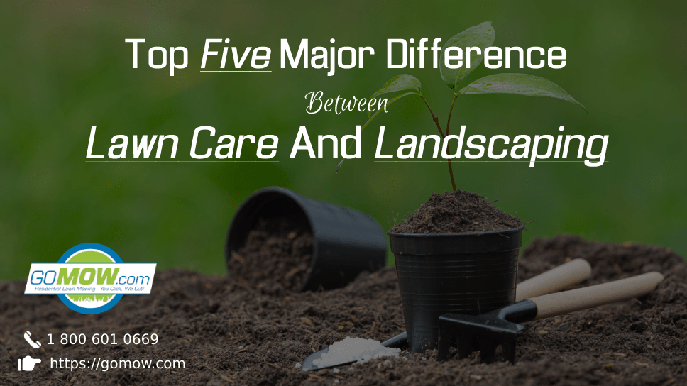 Top Five Major Difference Between Lawn Care And Landscaping