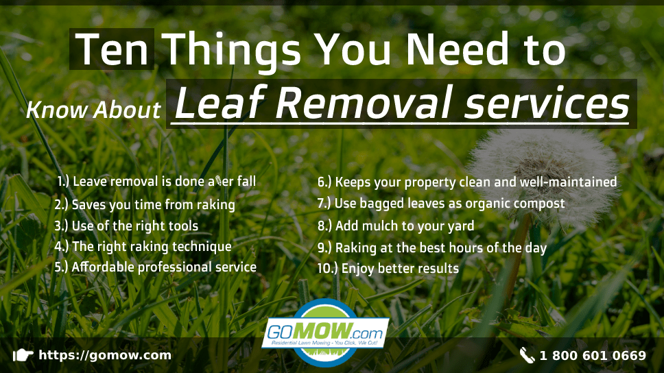 Ten Things You Need to Know About Leaf Removal services GoMow