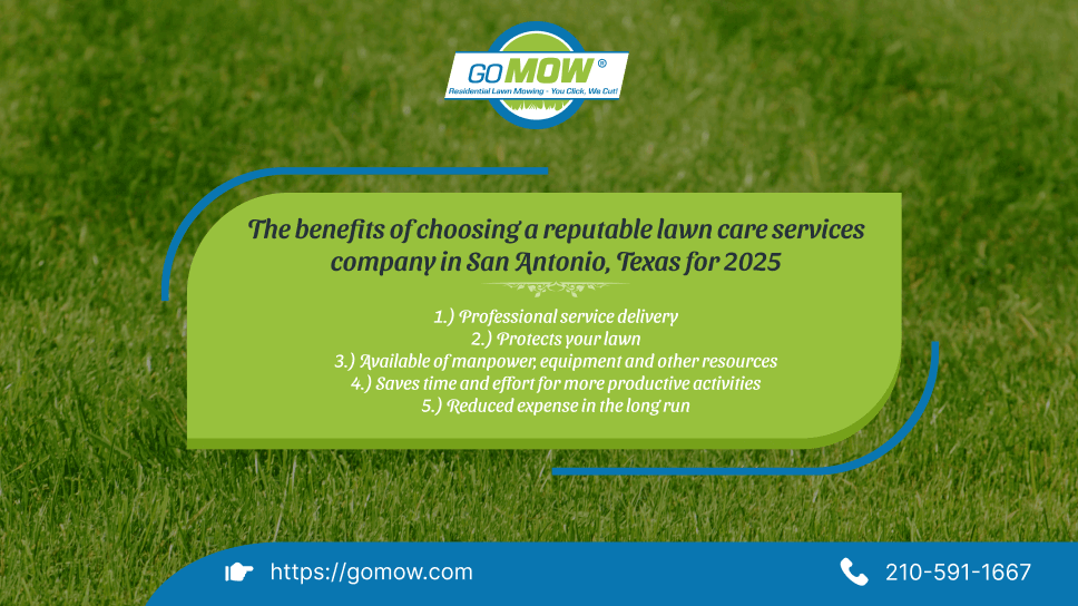 the-benefits-of-choosing-a-reputable-lawn-care-services-company-in-san-antonio-texas-for-2025