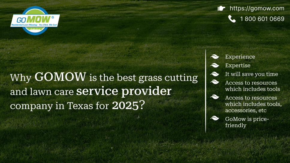 Why GOMOW Is The Best Grass Cutting And Lawn Care Service Provider Company In Texas For 2025? – GOMOW