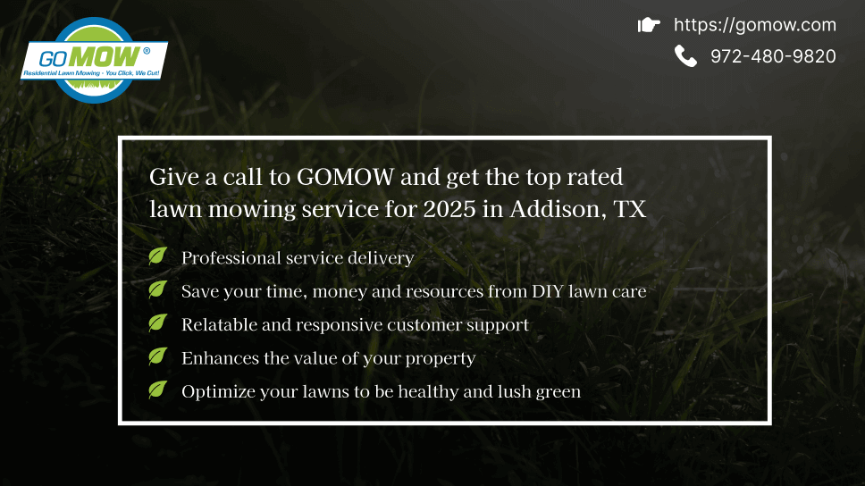 give-a-call-to-gomow-and-get-the-top-rated-lawn-mowing-service-for-2025-in-addison-tx