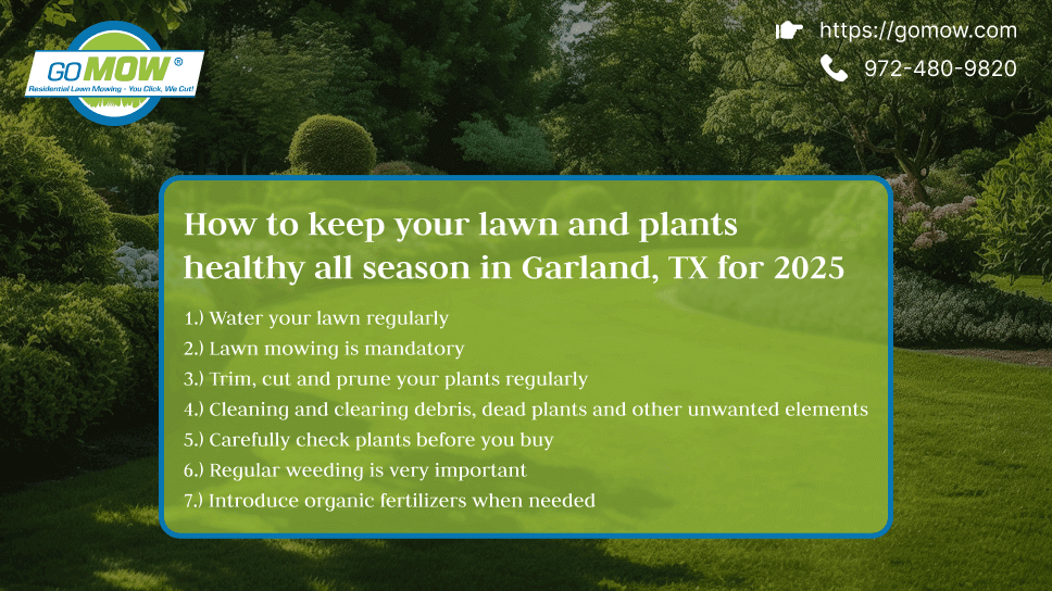 How To Keep Your Lawn And Plants Healthy All Season In Garland, TX For 2025