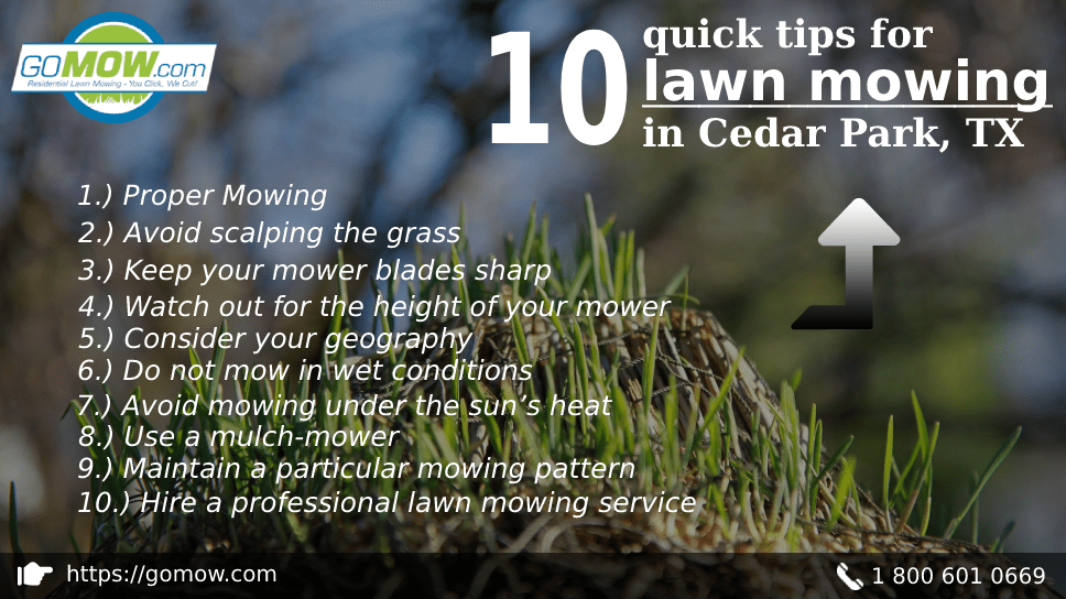 10 Quick Tips For Lawn Mowing In Cedar Park, TX