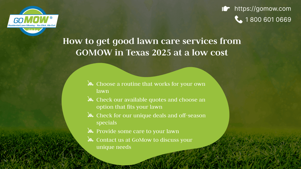 how-to-get-good-lawn-care-services-from-gomow-in-texas-2025-at-a-low-cost