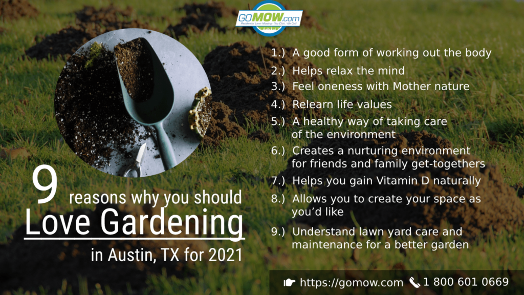 nine-reasons-why-you-should-love-gardening-in-austin-tx-for-2021