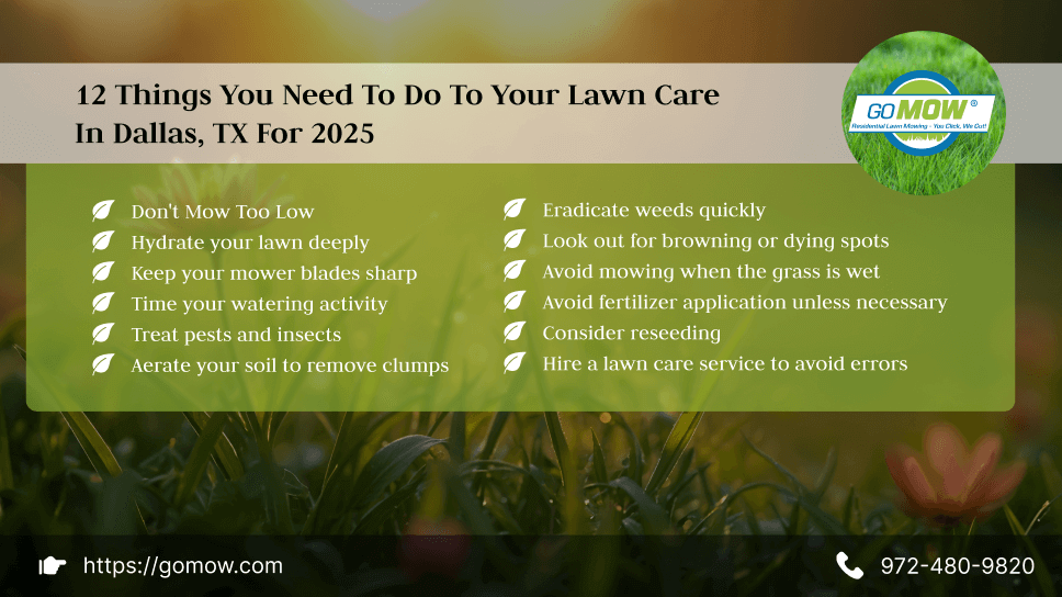 12 Things You Need To Do To Your Lawn Care In Dallas, TX For 2025