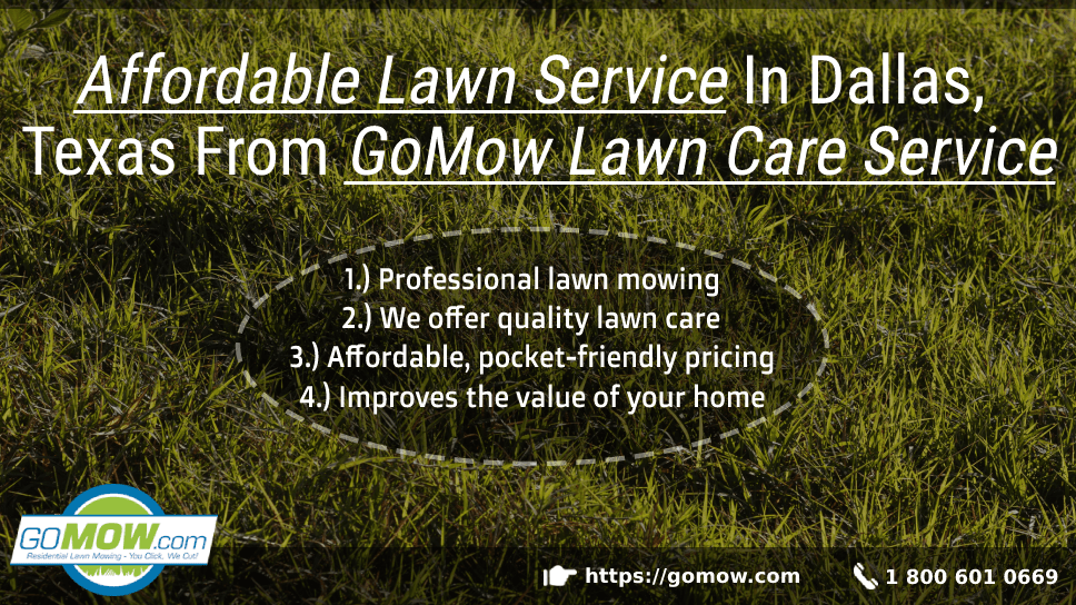Affordable Lawn Service In Dallas, Texas From GoMow Lawn Care Service