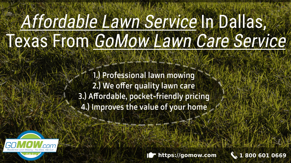 Affordable Lawn Service In Dallas Texas From GoMow Lawn Care