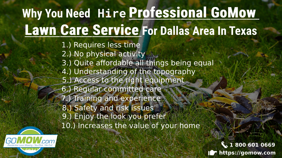 why-you-need-hire-professional-gomow-lawn-care-service-for-dallas-area-in-texas