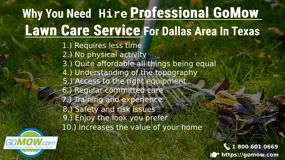 Why You Need Hire Professional GOMOW Lawn Care Service For Dallas Area In Texas