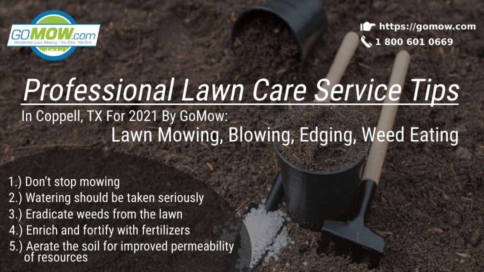 Professional Lawn Care Service Tips In Dallas, TX For 2021 By GoMow: Lawn Mowing, Blowing, Edging, Weed Eating