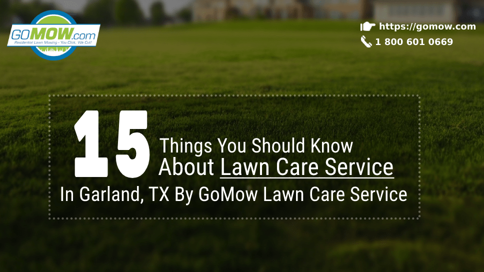 15-things-you-should-know-about-lawn-care-service-in-garland-tx-by-gomow-lawn-care-service