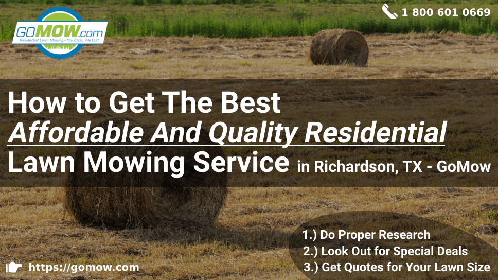 how-to-get-the-best-affordable-and-quality-residential-lawn-mowing-service-in-richardson-tx-gomow