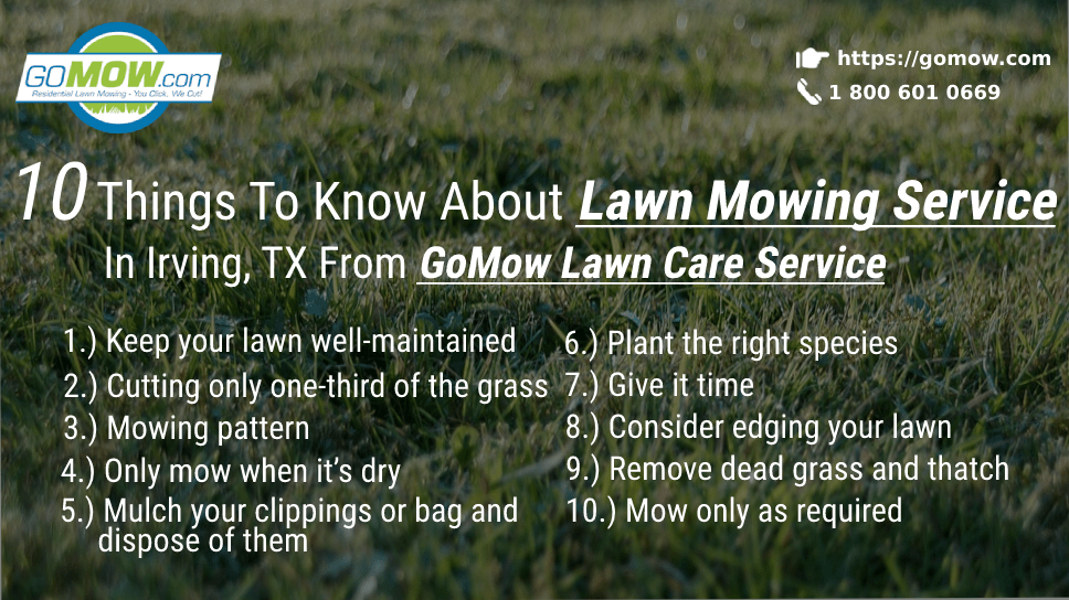 10 Things To Know About Lawn Mowing Service In Irving, TX From GoMow Lawn Care Service