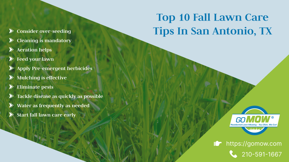 top-10-fall-lawn-care-tips-in-san-antonio-tx