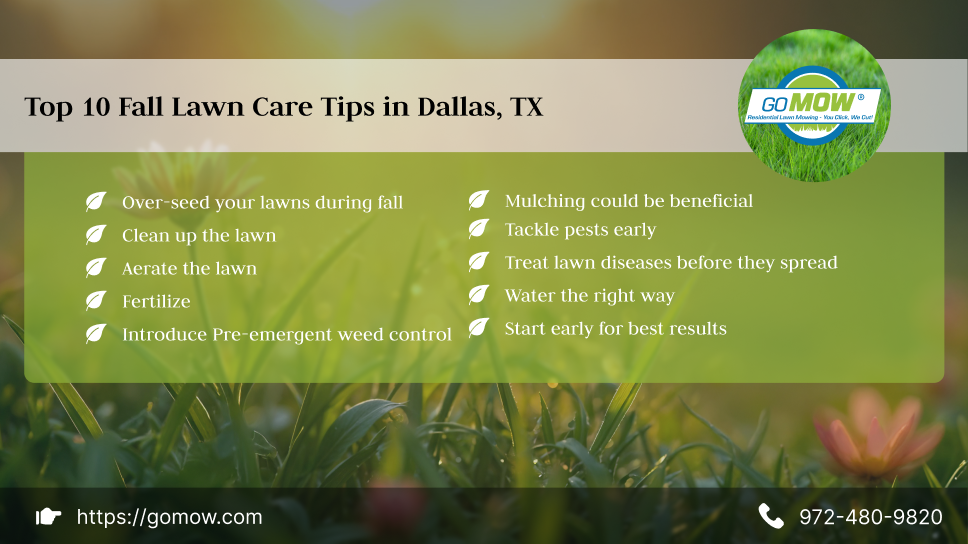 top-10-fall-lawn-care-tips-in-dallas-tx