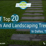 2025-top-20-lawn-and-landscaping-trends-in-dallas-texas