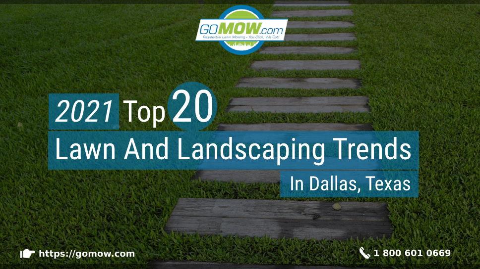 2021: Top 20 Lawn And Landscaping Trends In Dallas, Texas