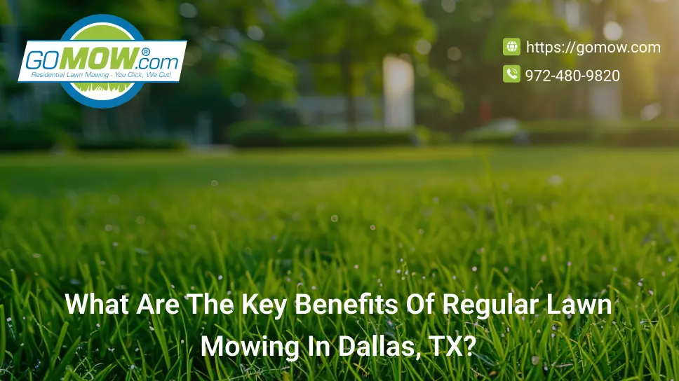 What Are The Key Benefits Of Regular Lawn Mowing In Dallas, TX?