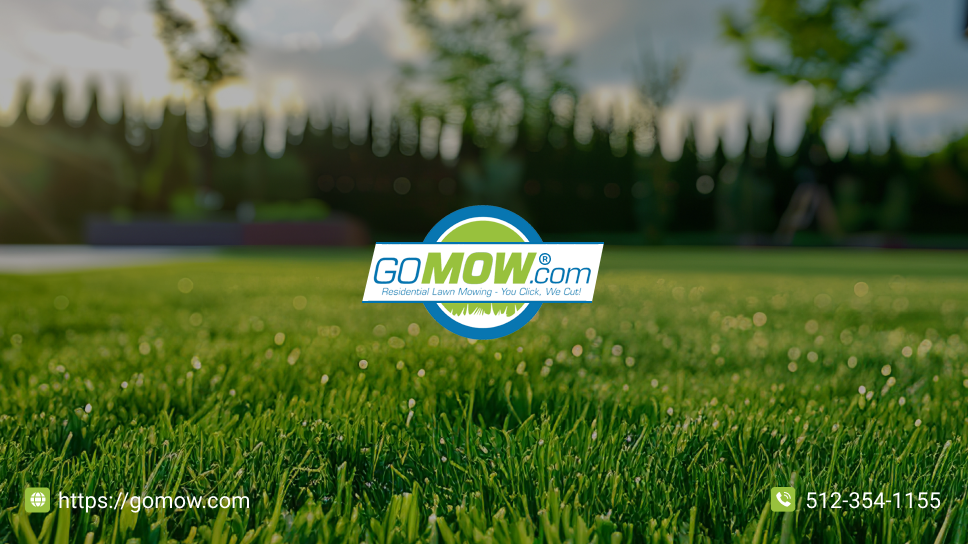 How To Rejuvenate Your Residential Lawn In Lakeway, TX? Get The Best Lawn Mowing Plans From GOMOW.