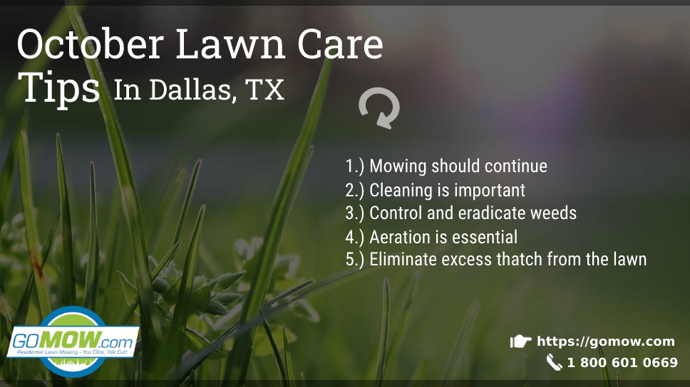October Lawn Care Tips In Dallas, TX