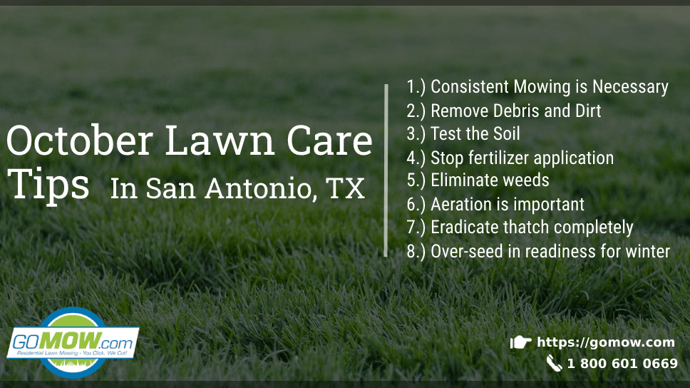 October Lawn Care Tips In San Antonio, TX