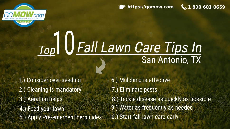 Top 10 Fall Lawn Care Tips In San Antonio, TX