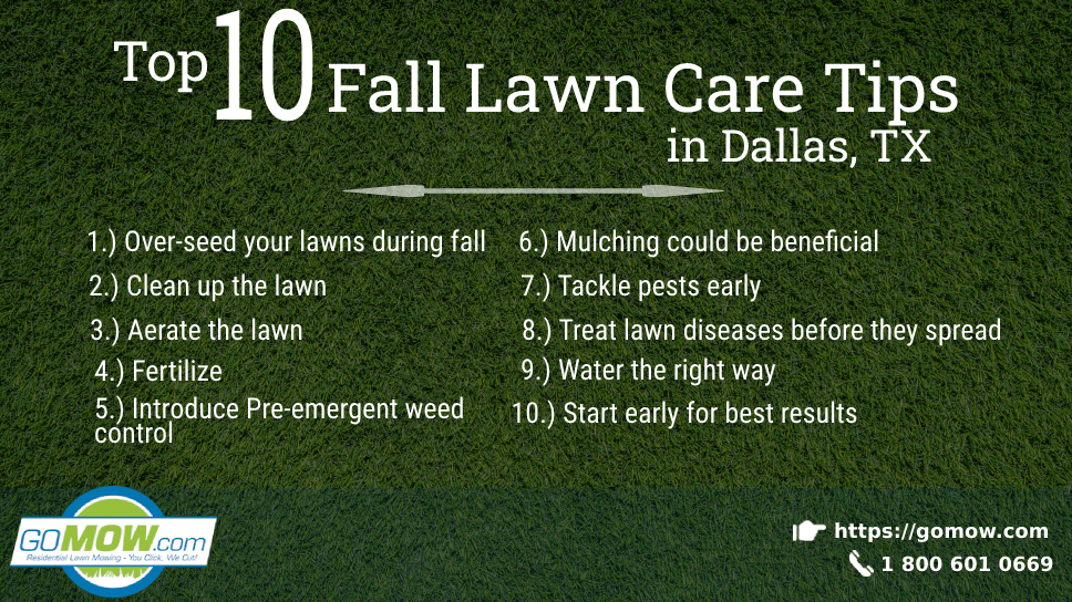 Top 10 Fall Lawn Care Tips In Dallas, TX