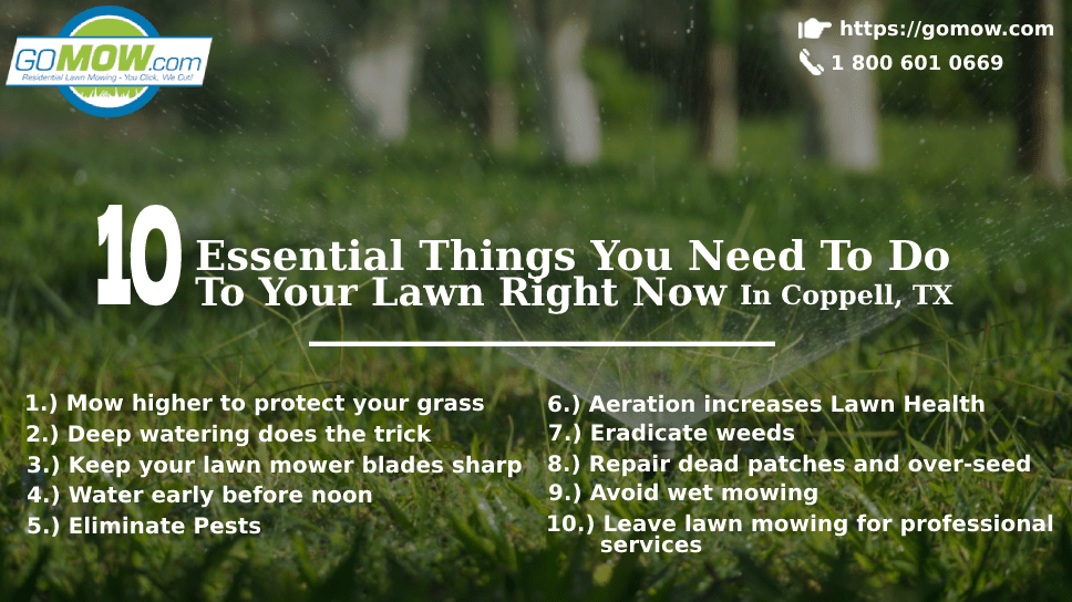 10 Essential Things You Need To Do To Your Lawn Right Now In Coppell, TX