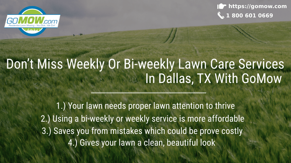 Don’t Miss Weekly Or Bi-weekly Lawn Care Services In Dallas, TX With GoMow