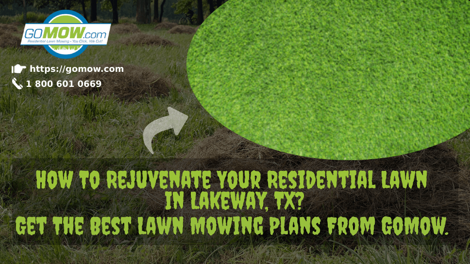 how-to-rejuvenate-your-residential-lawn-in-lakeway-tx-get-the-best-lawn-mowing-plans-from-gomow
