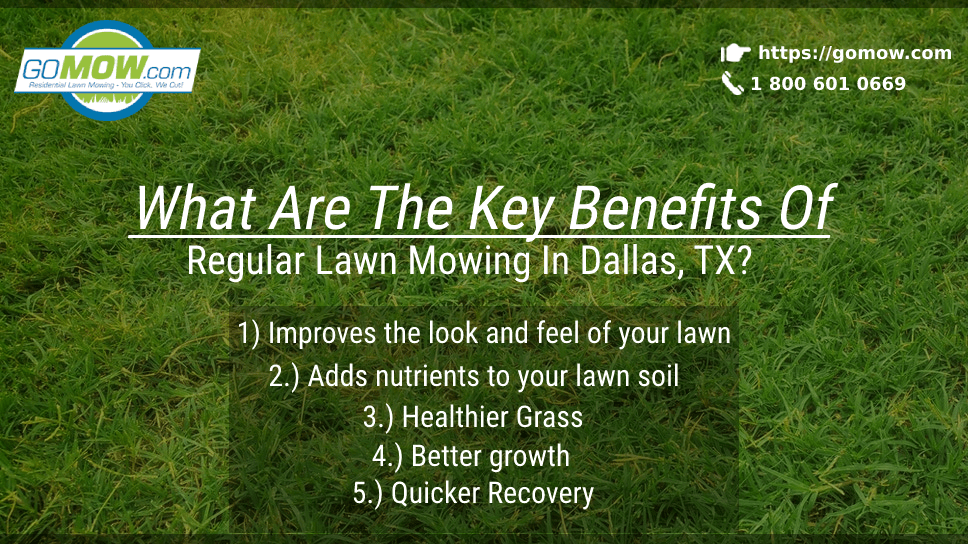 What Are The Key Benefits Of Regular Lawn Mowing In Dallas, TX?
