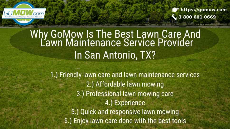 Why GoMow Is The Best Lawn Care And Lawn Maintenance Service Provider In San Antonio, TX?