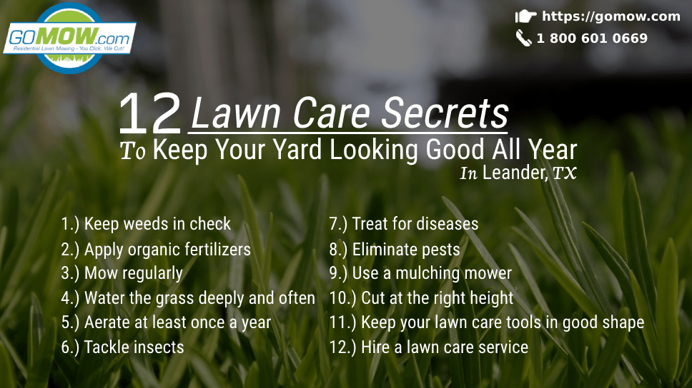 12 Lawn Care Secrets To Keep Your Yard Looking Good All Year In Leander, TX
