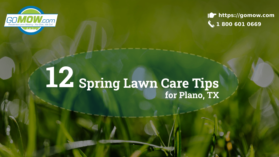 12 Spring Lawn Care Tips For Plano, TX