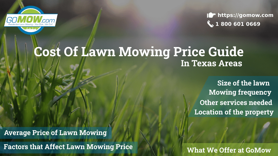 Cost Of Lawn Mowing Price Guide In Texas Areas