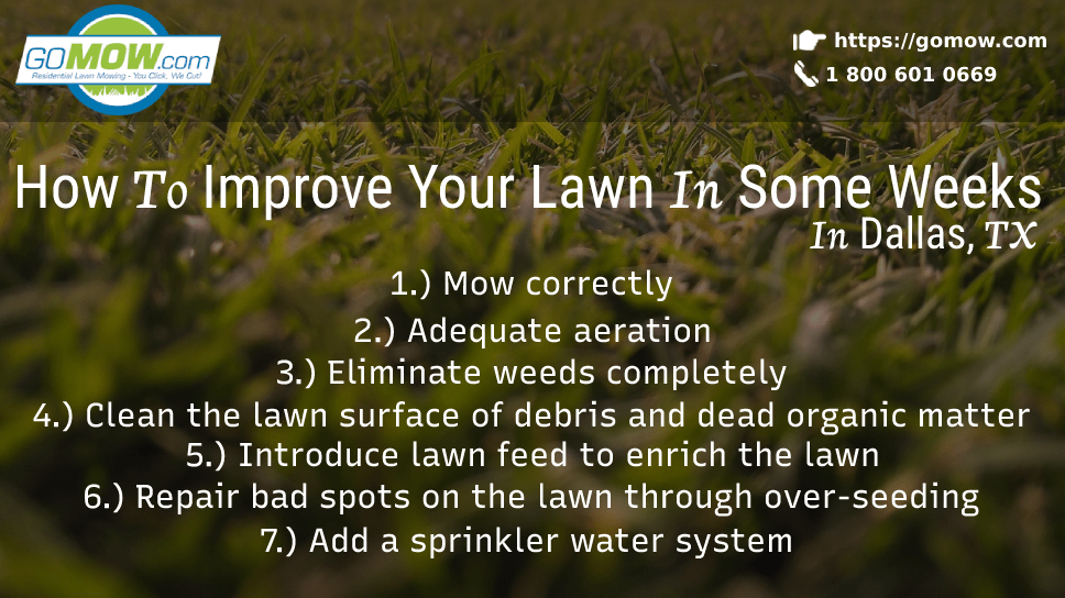 how-to-improve-your-lawn-in-some-weeks-in-dallas-tx