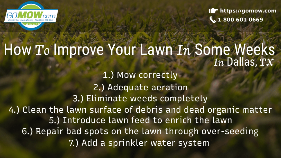 How To Improve Your Lawn In Some Weeks In Dallas, TX