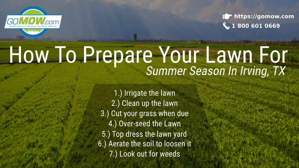 How To Prepare Your Lawn For Summer Season In Irving, TX