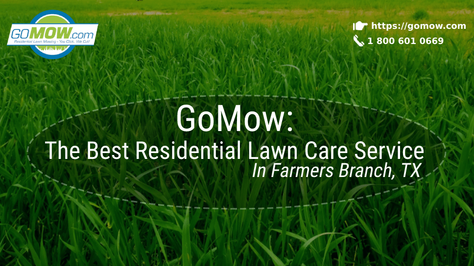 GoMow: The Best Residential Lawn Care Service In Farmers Branch, TX