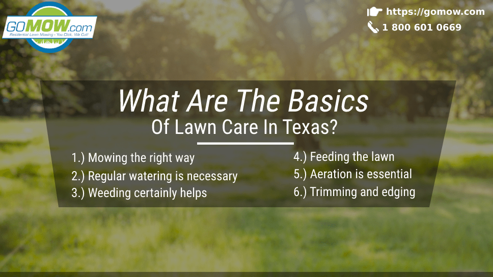 What Are The Basics Of Lawn Care In Texas?
