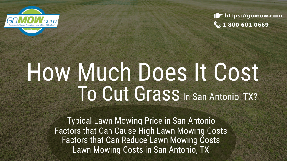 How Much Does It Cost To Cut Grass In San Antonio, TX?