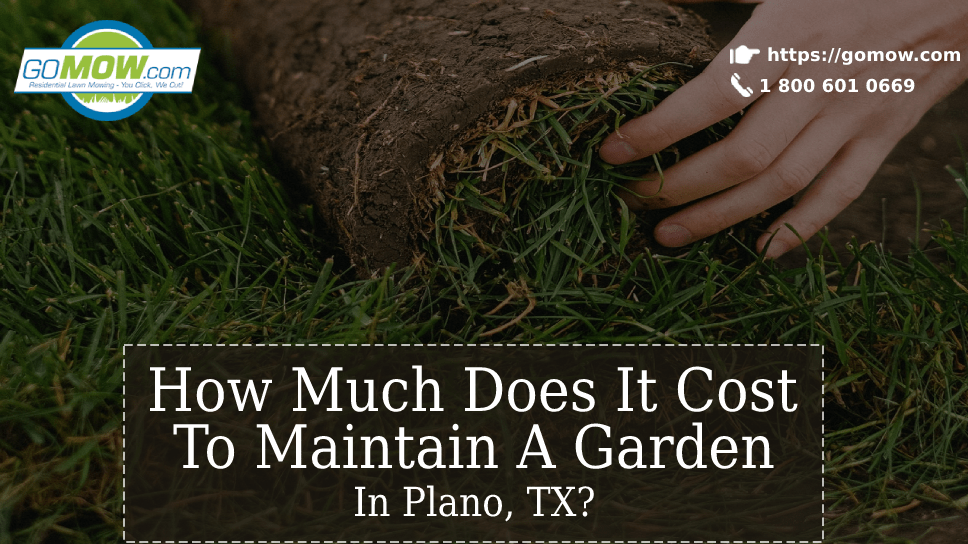 How Much Does It Cost To Maintain A Garden In Plano, TX?