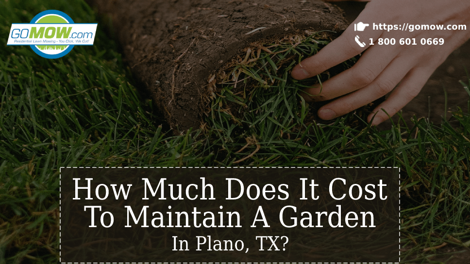 How Much Does It Cost To Maintain A Garden In Plano, TX -min