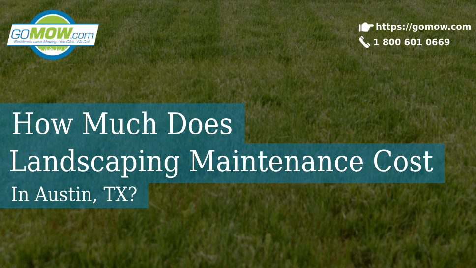 How Much Does Landscaping Maintenance Cost In Austin, TX?