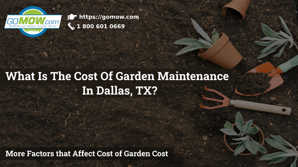 What Is The Cost Of Garden Maintenance In Dallas, TX -min