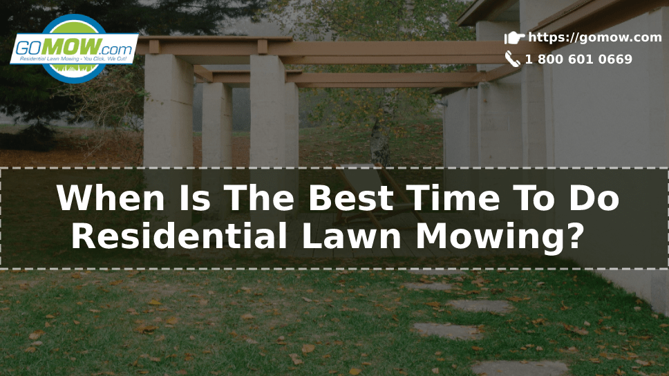 When Is The Best Time To Do Residential Lawn Mowing?
