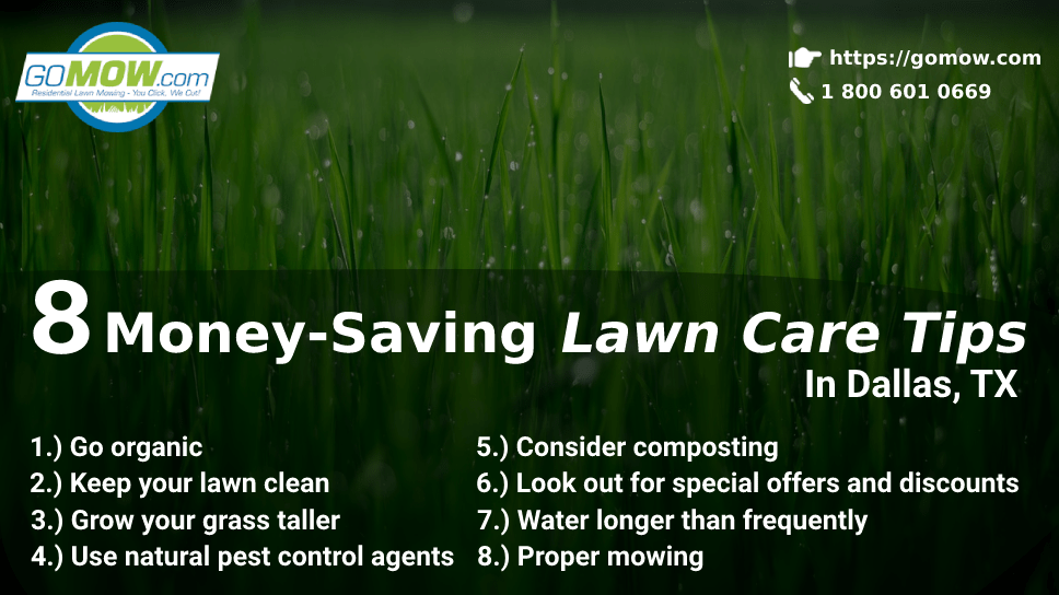 8 Money-Saving Lawn Care Tips In Dallas, TX