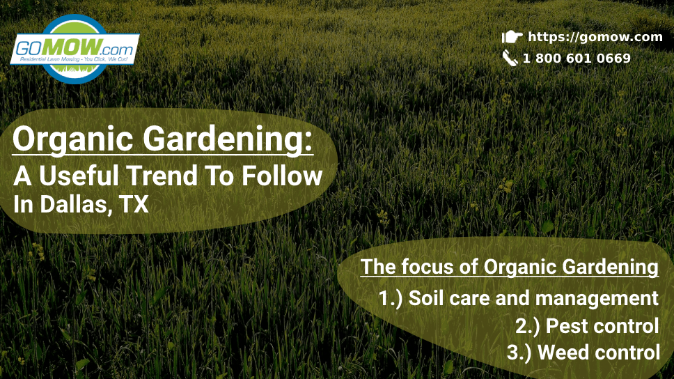 organic-gardening-a-useful-trend-to-follow-in-dallas-tx