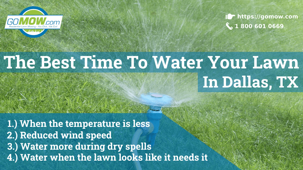 The Best Time To Water Your Lawn In Dallas, TX